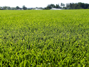 Działka budowlana Kopisk