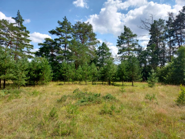 Działka budowlana Machliny