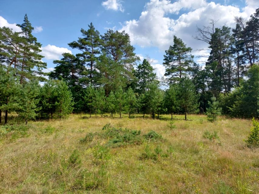 Działka budowlana Machliny