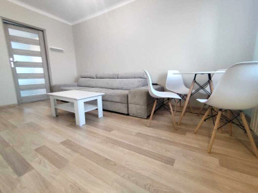 Mieszkanie Kalisz wynajem