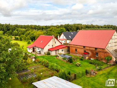 Dom Wysoka Kamieńska sprzedaż