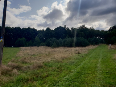 Działka siedliskowa Łupawsko sprzedam