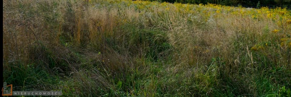 Działka budowlana Więckowice