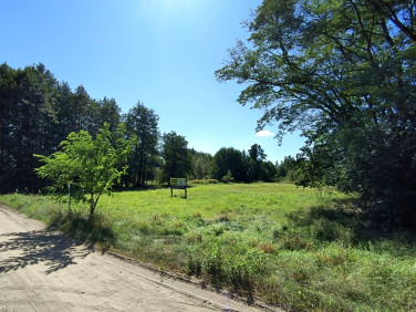 Działka budowlana Glinno sprzedam