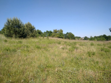 Działka budowlana Łęgowo sprzedam