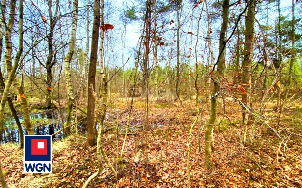 Działka Jeleńska Huta