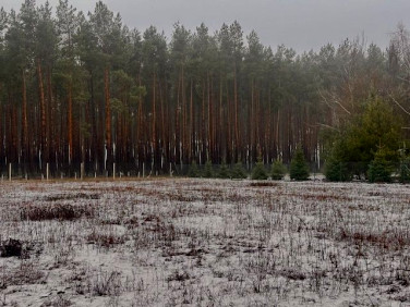 Działka budowlana Murzynowo Leśne sprzedam