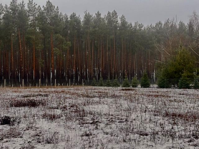 Działka budowlana Murzynowo Leśne sprzedam