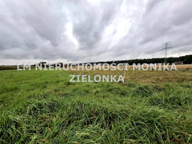 Działka budowlana Orzesze