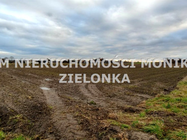 Pusta działka Bełk