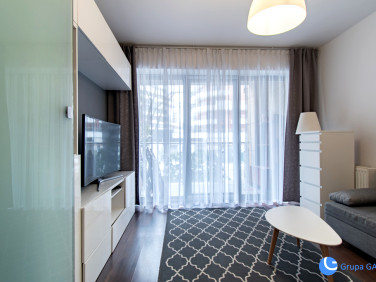 Mieszkanie Kraków wynajem