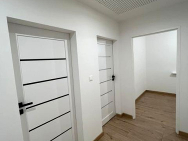 Mieszkanie Kraków sprzedaż