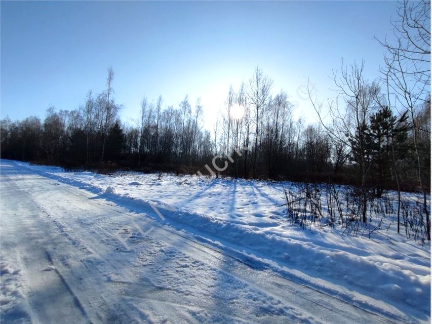 Działka leśna Budy Michałowskie