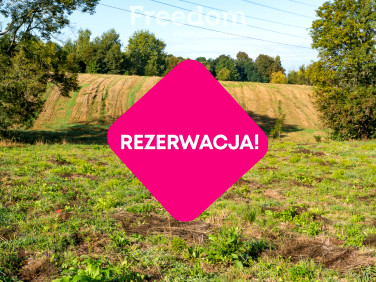 Działka BRZEŹNICA