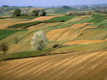 Pusta działka Oleśnica