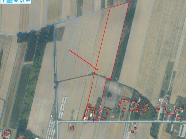 Działka rolna Tursk