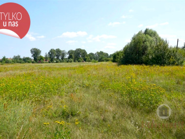 Działka budowlano-rolna Deszczno