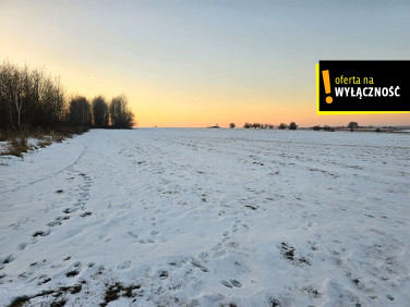 Działka rolna Borzymów