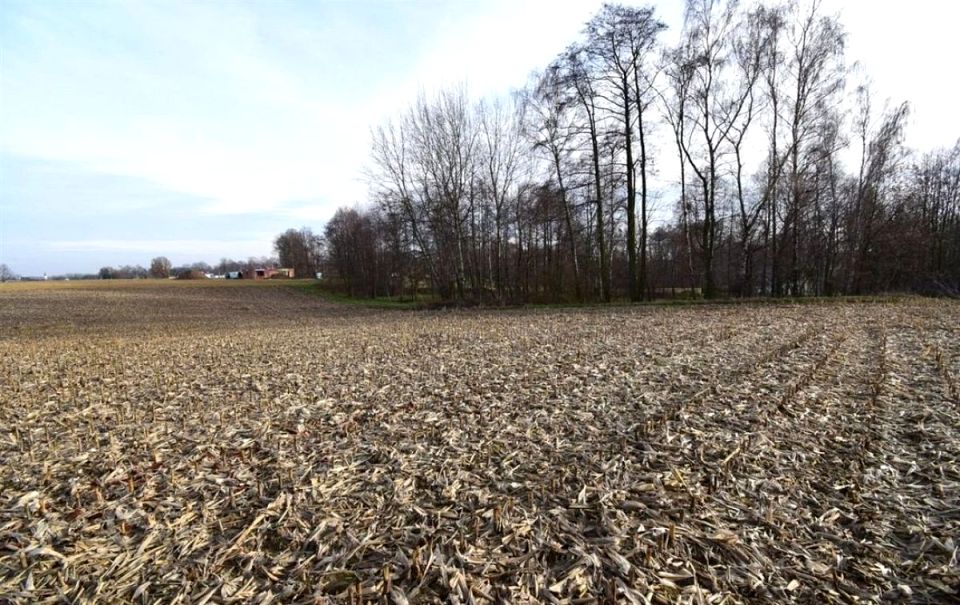 Działka budowlana Studzionka