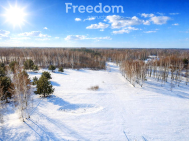 Działka STARE BUDY RADZIEJOWSKIE