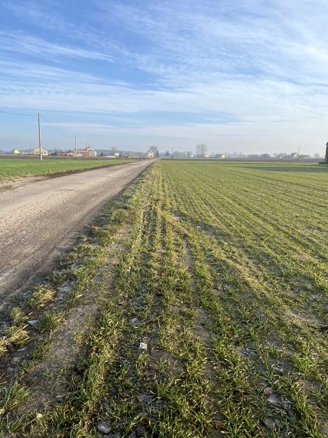 Działka rolna Walentynowo