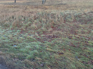 Działka inwestycyjna Rudna