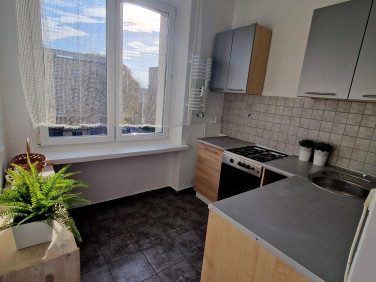 Mieszkanie Katowice wynajem