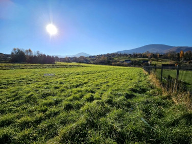 Działka budowlana Lipowa