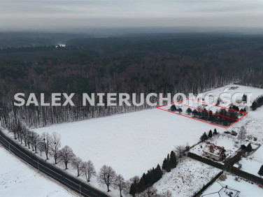 Pusta działka Szczejkowice