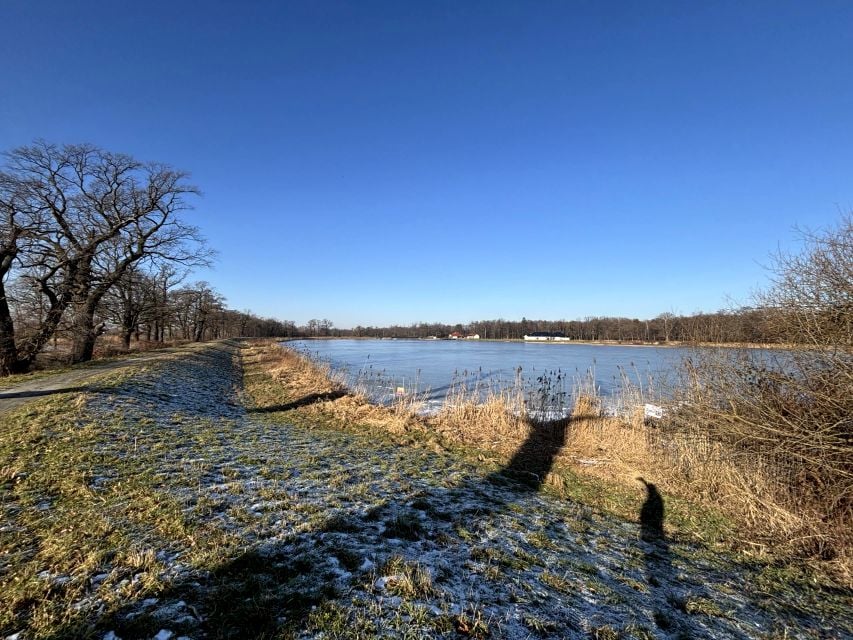 Działka Jelcz-Laskowice