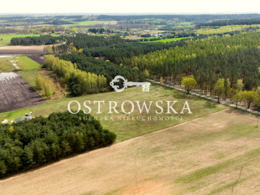 Działka budowlana Lewiczyn