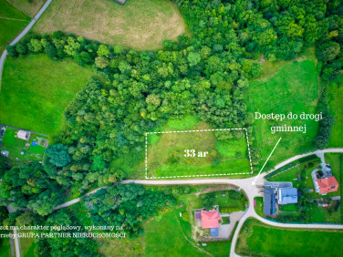 Działka Trzetrzewina