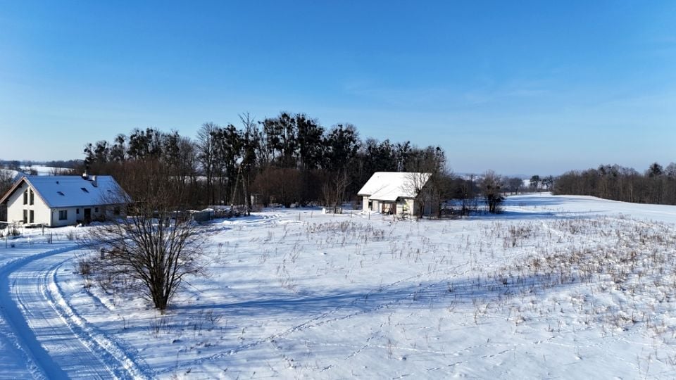 Zdjęcie 3
