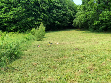 Działka Smętowo Chmieleńskie