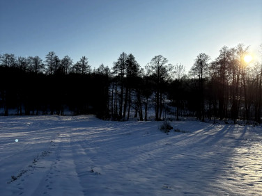 Działka rolna Bieliny