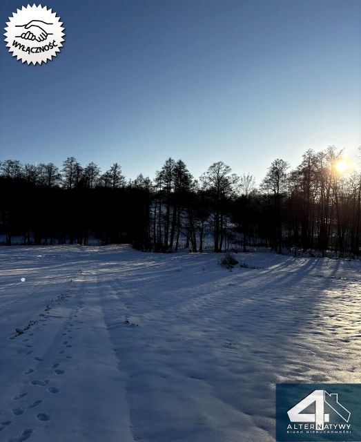 Działka rolna Bieliny