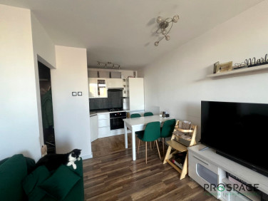 Mieszkanie Zielona Góra