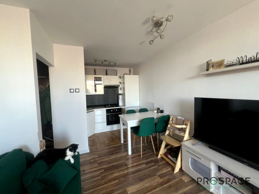 Mieszkanie Zielona Góra