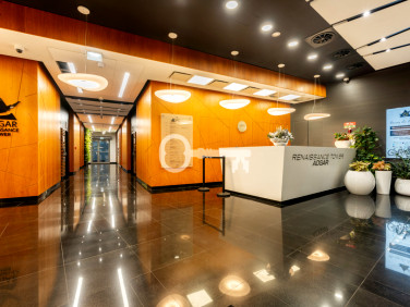 Lokal Warszawa wynajem