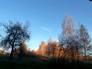 Działka budowlana Zapusta