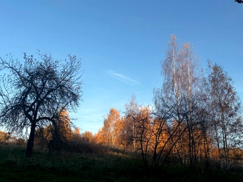 Działka budowlana Zapusta