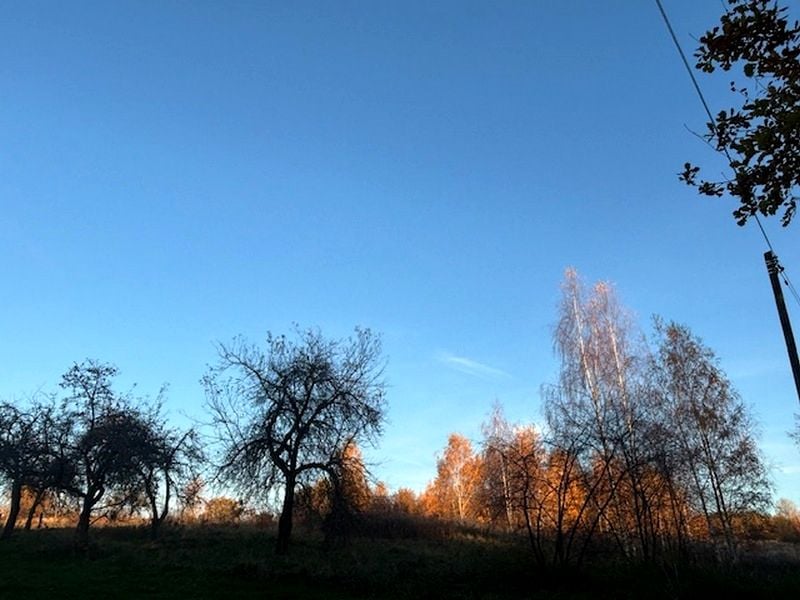 Zdjęcie 2