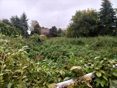 Działka budowlana Poznań