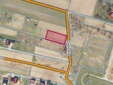 Działka rolna wynajmę