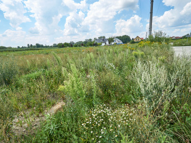 Działka rolna Brzezia Łąka
