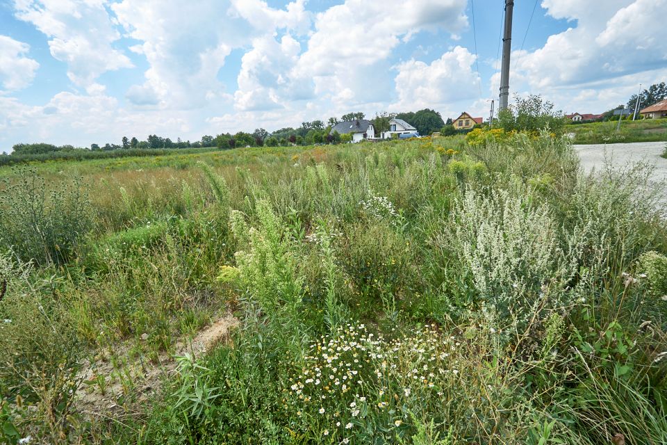 Działka rolna Brzezia Łąka