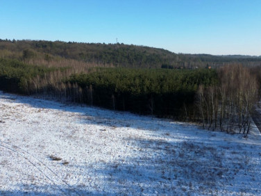 Działka siedliskowa Zamek Bierzgłowski