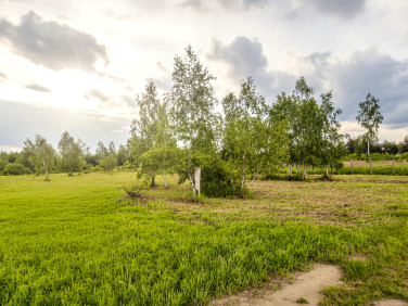 Działka budowlana Kąck