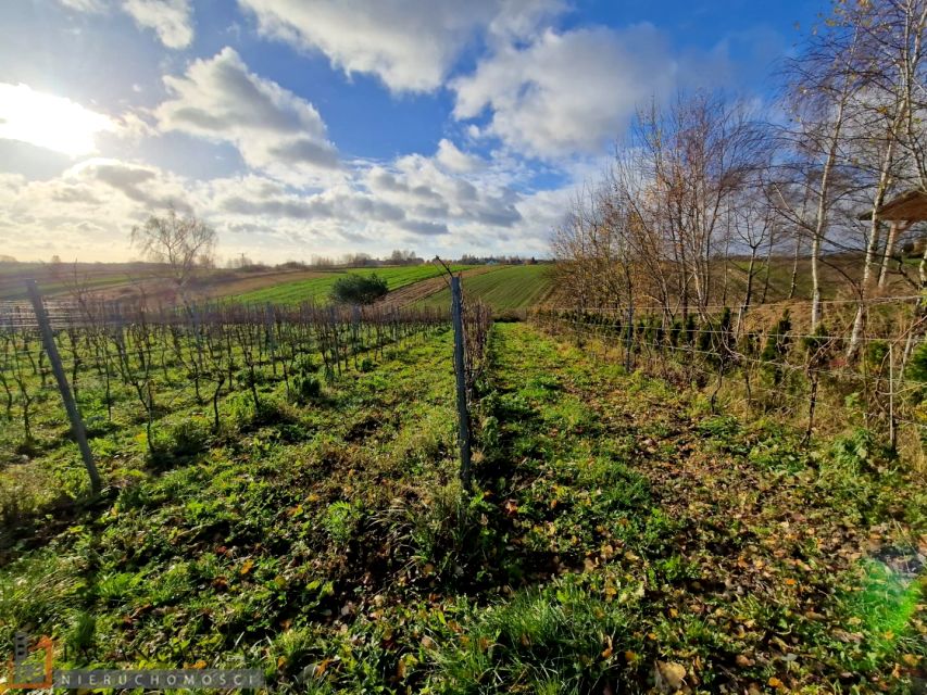 Pusta działka Cianowice
