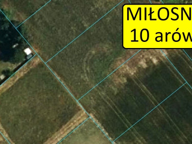 Działka budowlana Miłosna